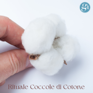 coccole di cotone