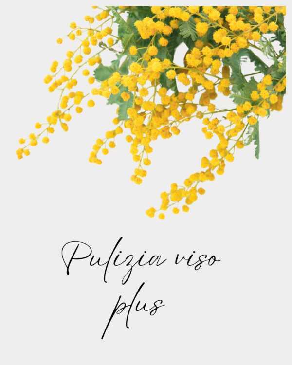 pulizia viso plus festa della donna